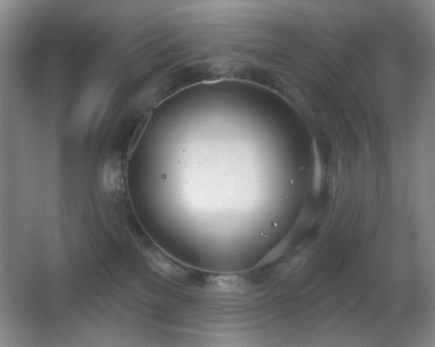 X0000067330137200603311110