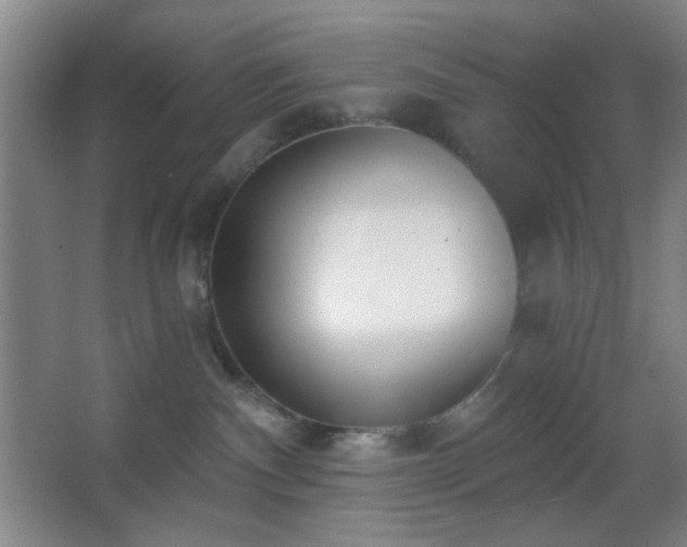 X0000067330140200603311110