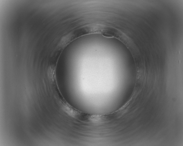 X0000067330142200603311110