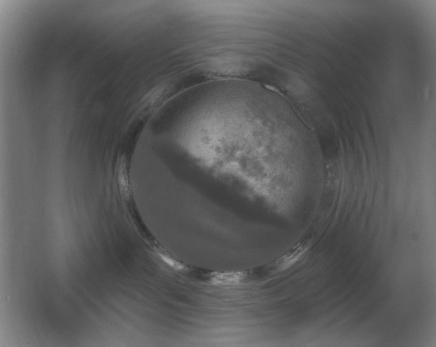 X0000067330143200603311110