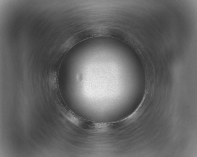 X0000067330144200603311110
