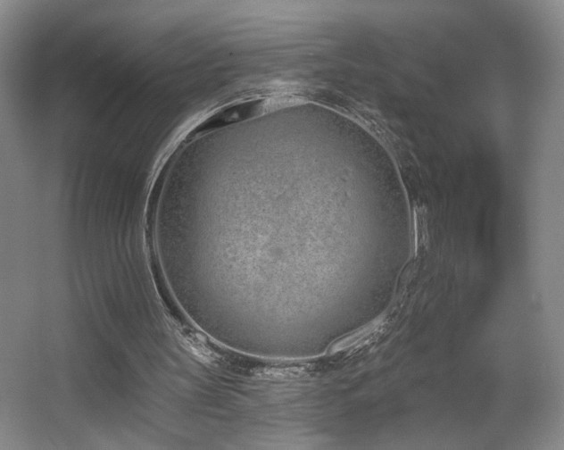 X0000067330147200603311109