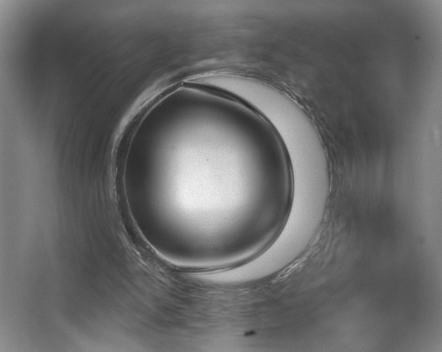 X0000067330150200603311109