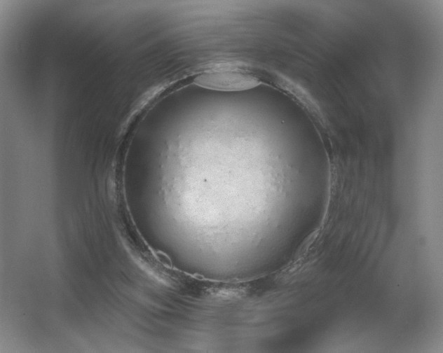 X0000067330155200603311109