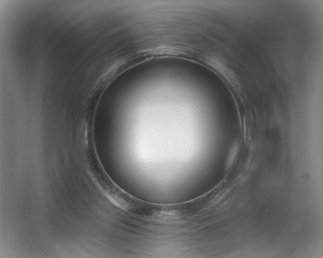 X0000067330157200603311109