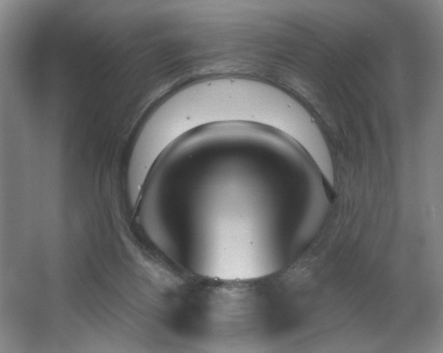 X0000067330164200603311109