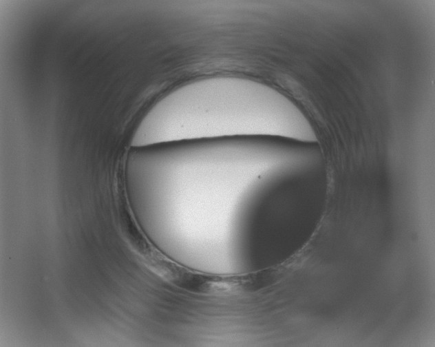 X0000067330167200603311109