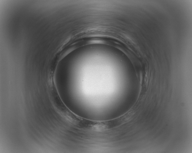 X0000067330168200603311109