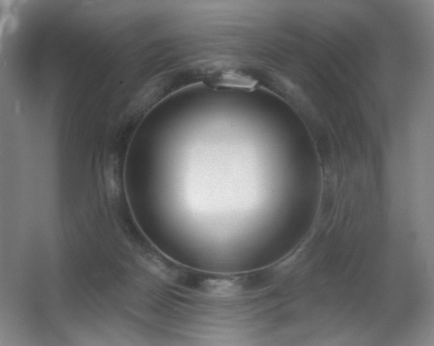 X0000067330170200603311109