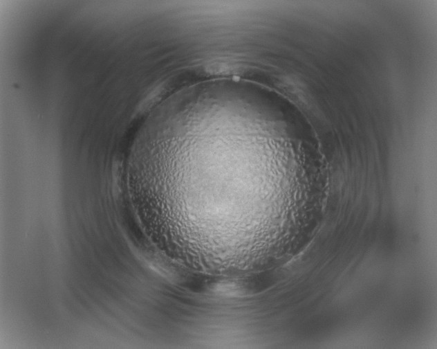 X0000067330171200603311109