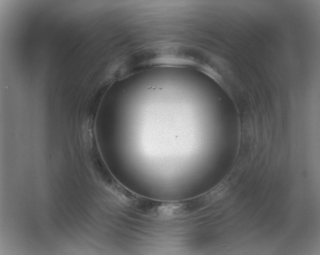 X0000067330172200603311109