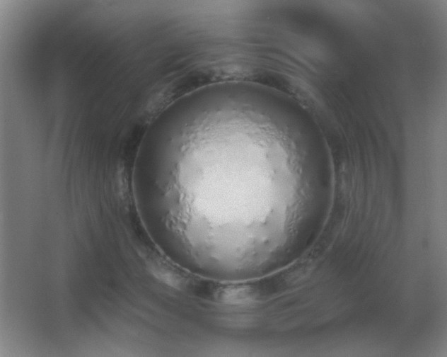 X0000067330173200603311109