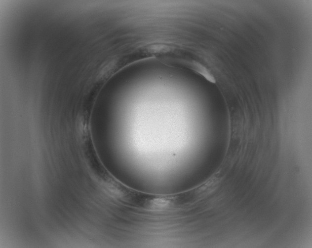 X0000067330176200603311109