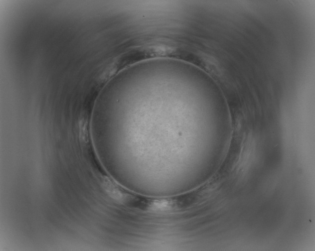 X0000067330177200603311109