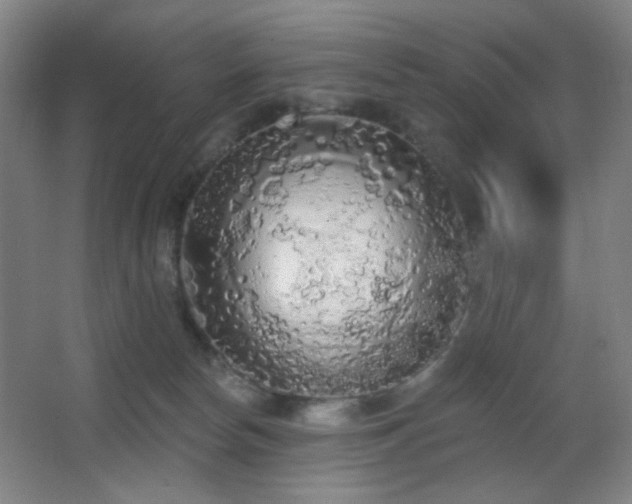 X0000067330178200603311109