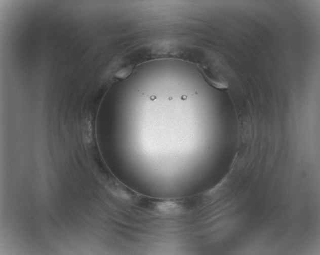X0000067330183200603311109