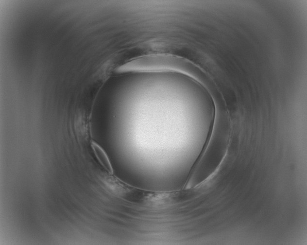 X0000067330186200603311109