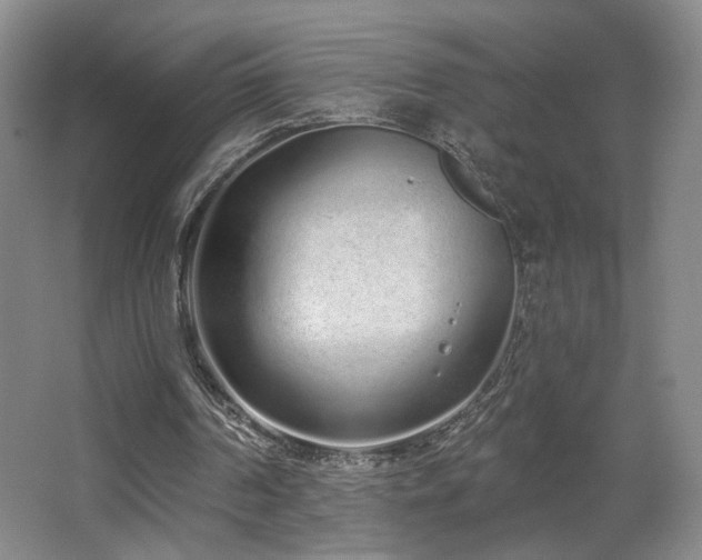 X0000067330194200603311109