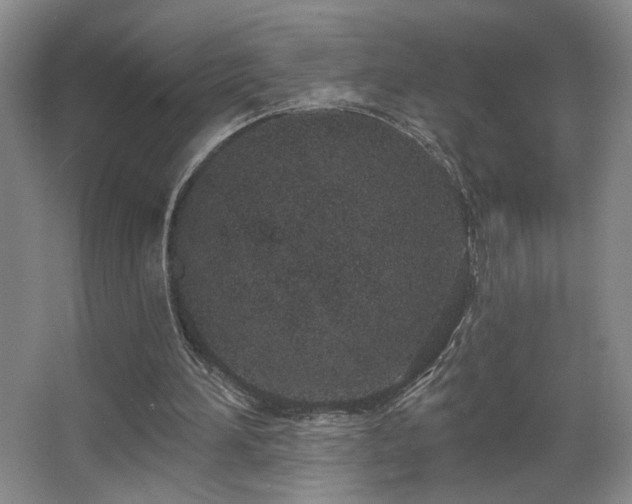 X0000067330196200603311109