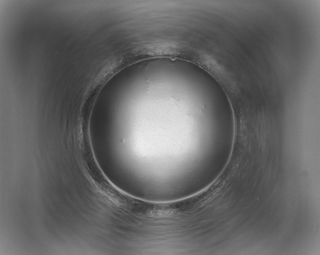 X0000067330202200603311109