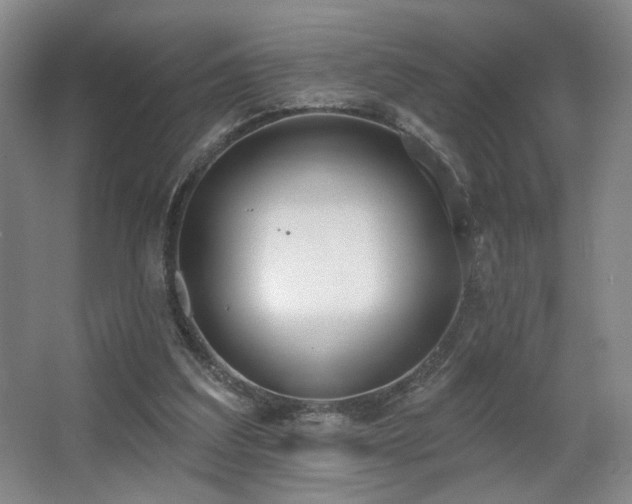 X0000067330203200603311109