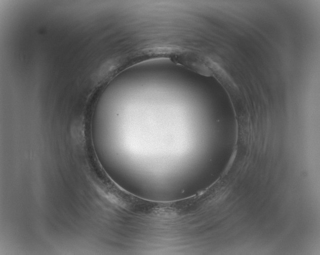 X0000067330207200603311108