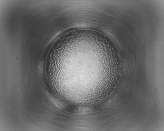X0000067330208200603311108