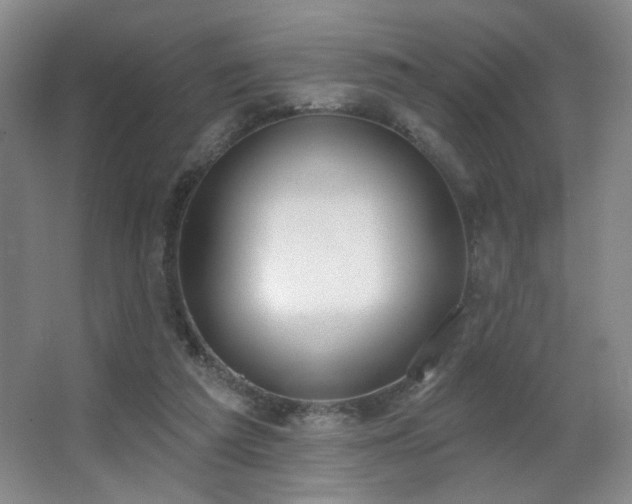 X0000067330209200603311108