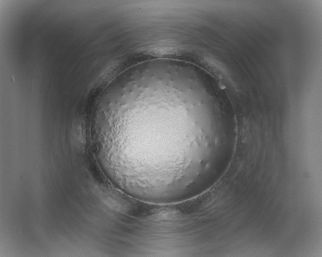 X0000067330210200603311108