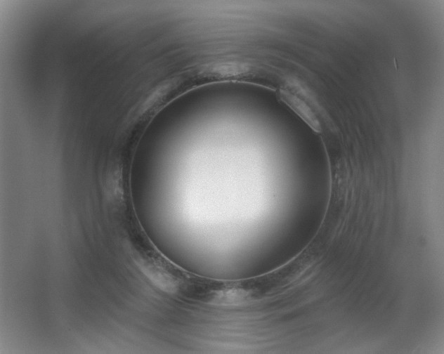 X0000067330212200603311108