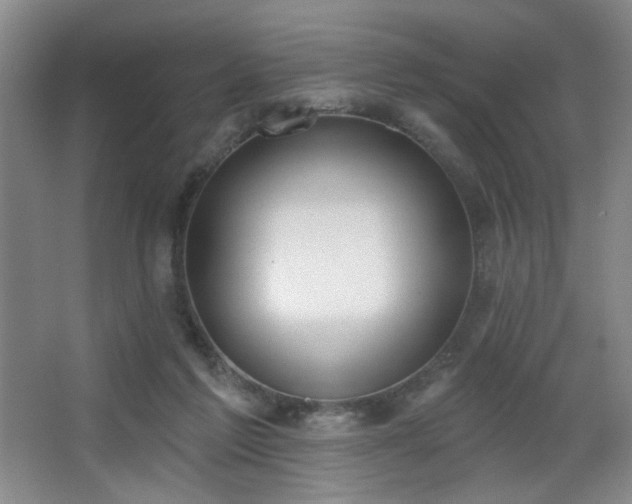 X0000067330213200603311108