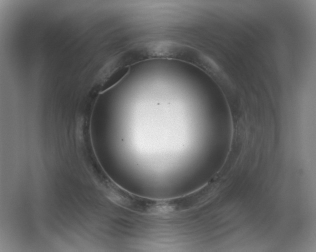 X0000067330217200603311108