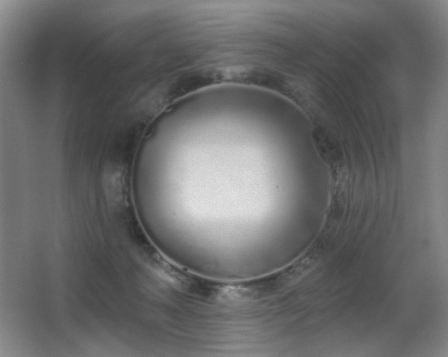 X0000067330222200603311108