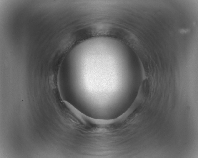 X0000067330224200603311108