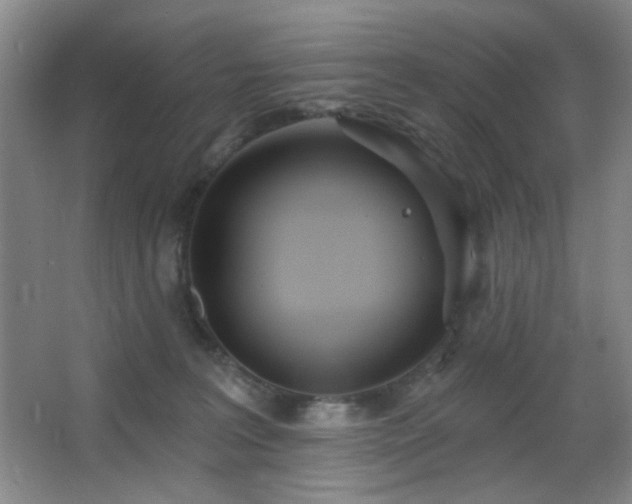 X0000067330227200603311108