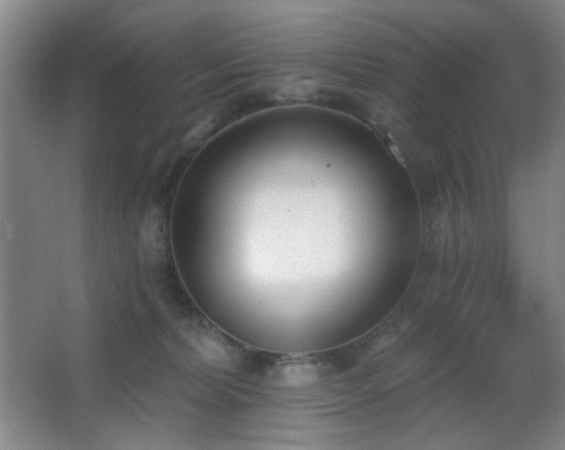 X0000067330228200603311108