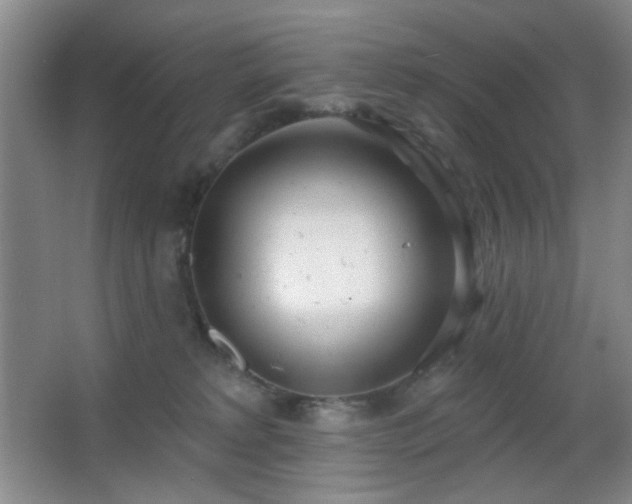 X0000067330229200603311108