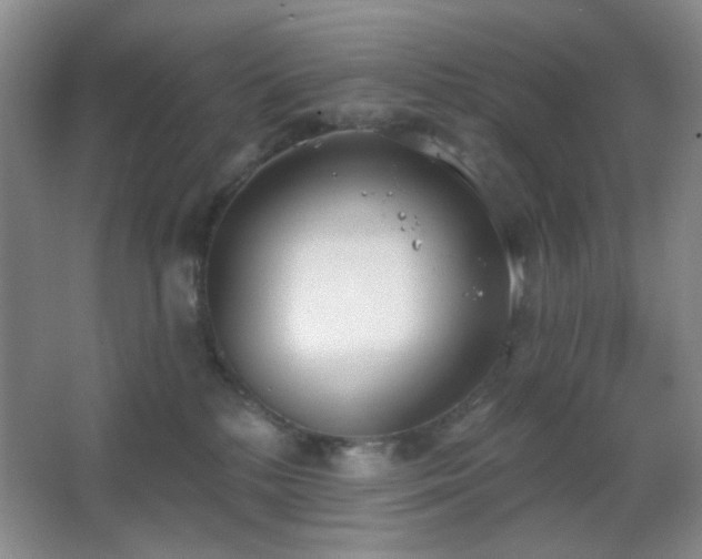 X0000067330232200603311108