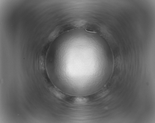 X0000067330234200603311108