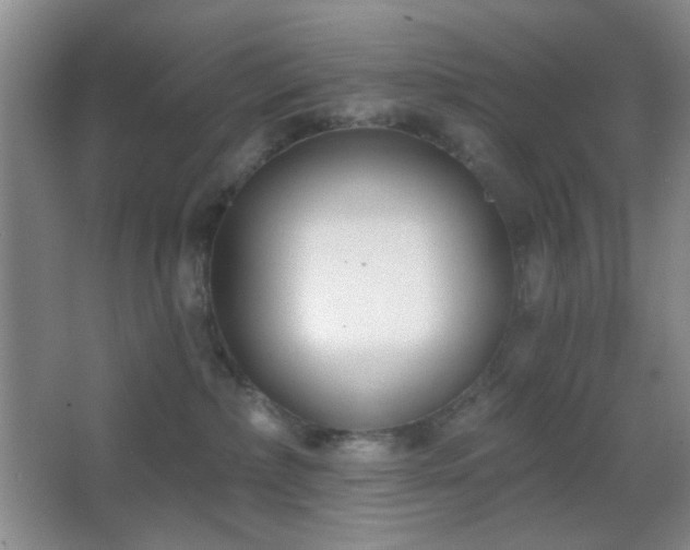 X0000067330236200603311108