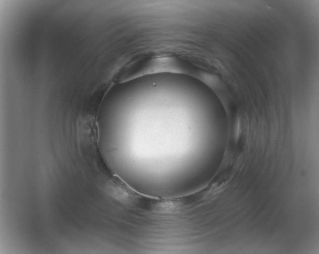 X0000067330237200603311108