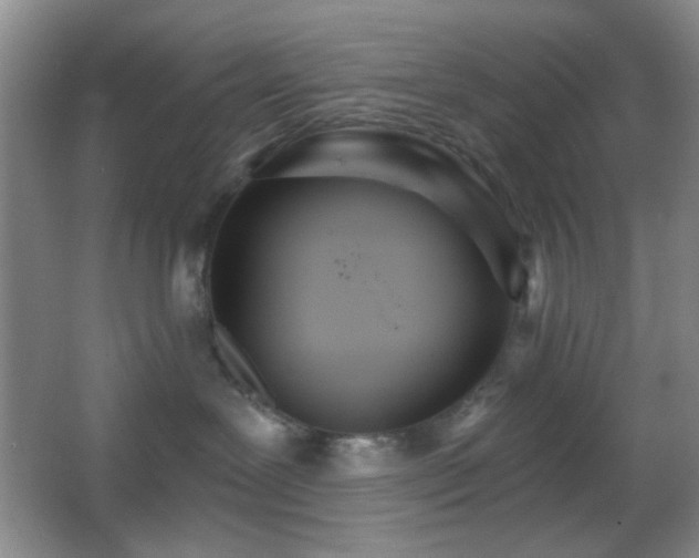 X0000067330239200603311108