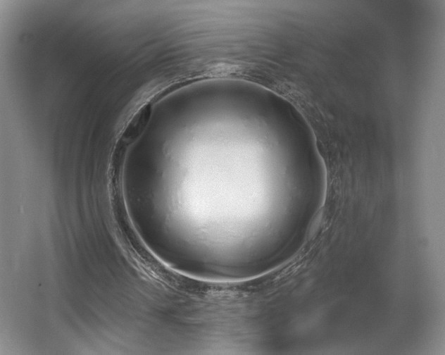 X0000067330242200603311107