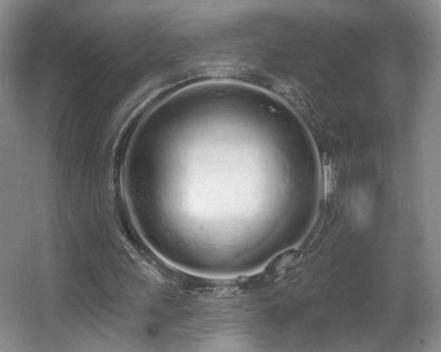 X0000067330243200603311107