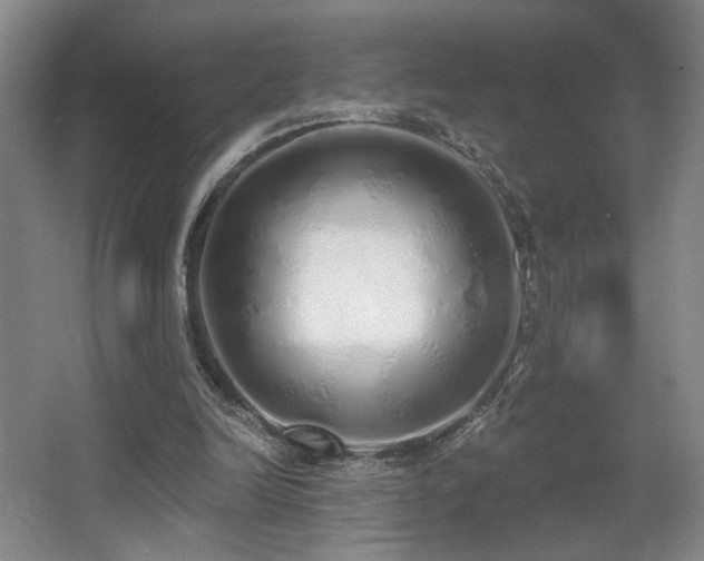 X0000067330246200603311107