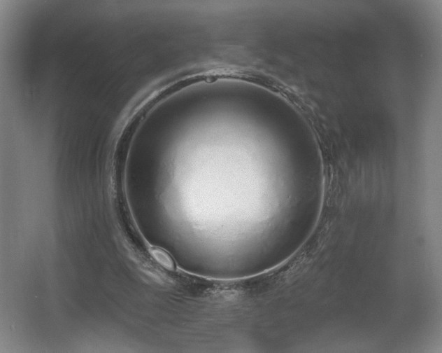 X0000067330247200603311107