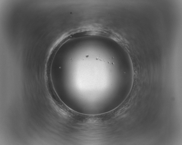 X0000067330248200603311107