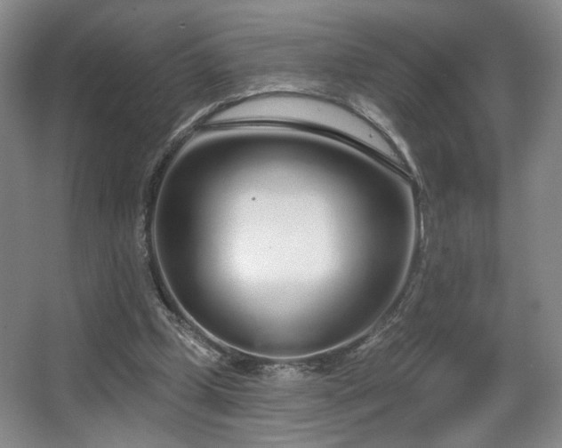 X0000067330249200603311107