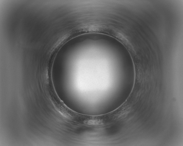 X0000067330251200603311107