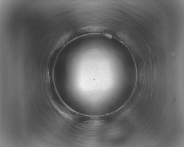 X0000067330254200603311107